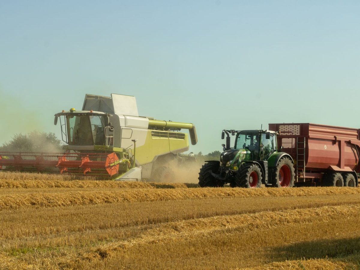 Harvesting machinery working across a large cereal field