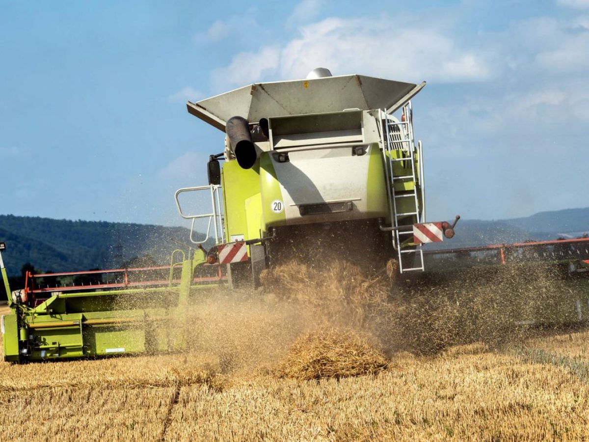 Crop being gathered during the harvest season with machinery working in the background